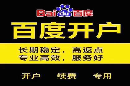 百度竞价包年案例：快速提升品牌知名度